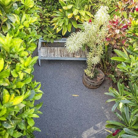 Nalu Kai Lodge Paia Hotel Kültér fotó