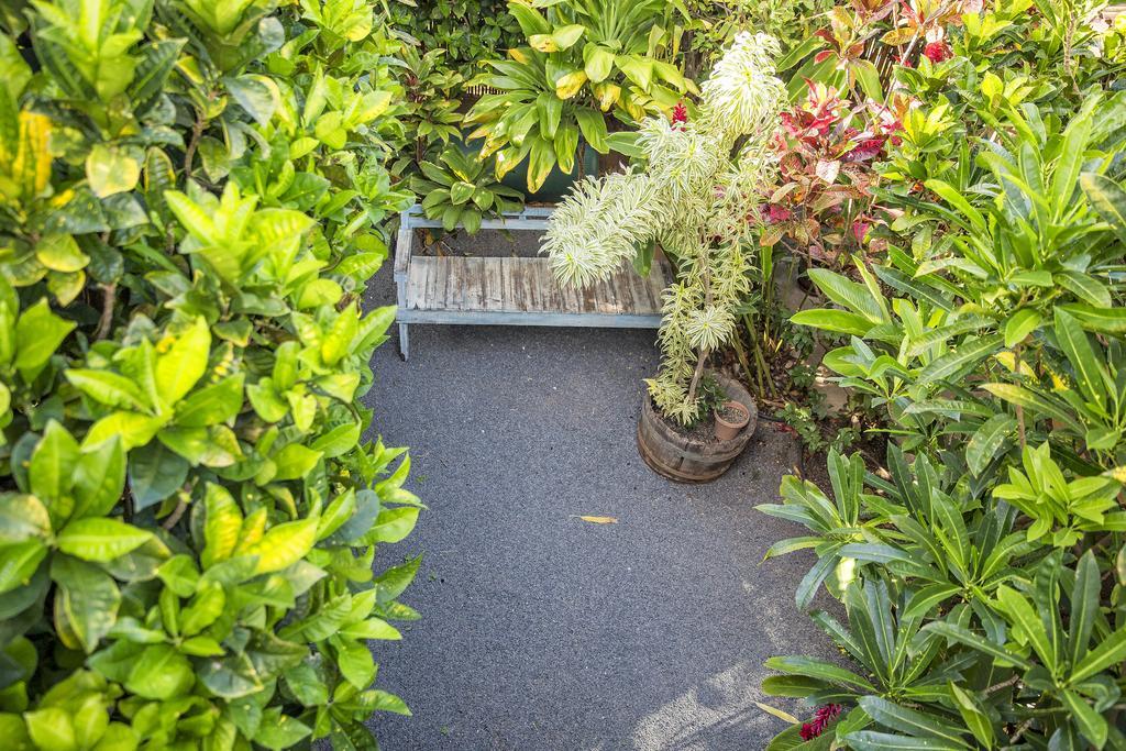 Nalu Kai Lodge Paia Hotel Kültér fotó